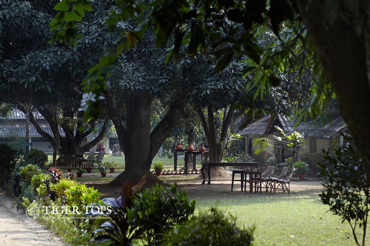 ไทเกอร์ ท็อป ฐารุ ลอดจ์ Hotel จิตวัน ภายนอก รูปภาพ
