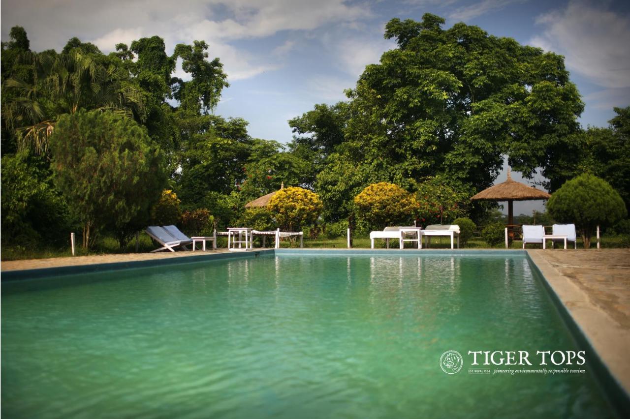 ไทเกอร์ ท็อป ฐารุ ลอดจ์ Hotel จิตวัน ภายนอก รูปภาพ