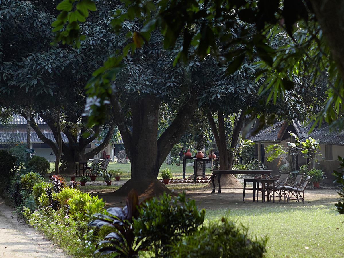 ไทเกอร์ ท็อป ฐารุ ลอดจ์ Hotel จิตวัน ภายนอก รูปภาพ
