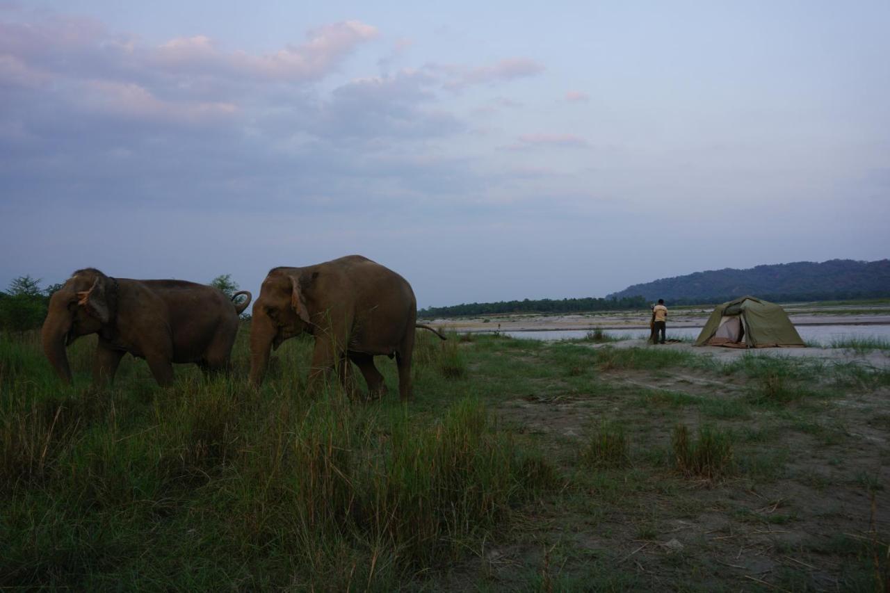 ไทเกอร์ ท็อป ฐารุ ลอดจ์ Hotel จิตวัน ภายนอก รูปภาพ