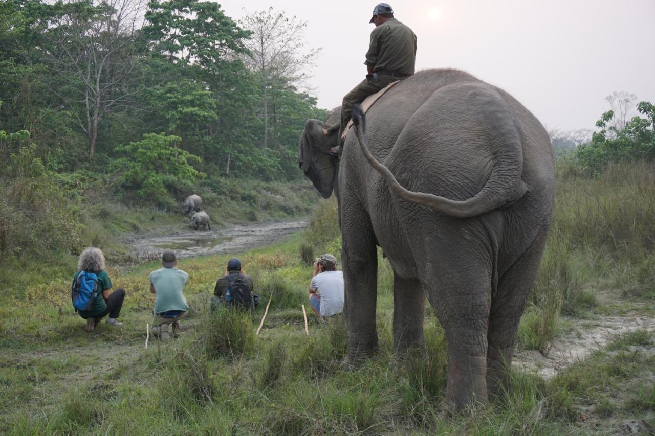 ไทเกอร์ ท็อป ฐารุ ลอดจ์ Hotel จิตวัน ภายนอก รูปภาพ
