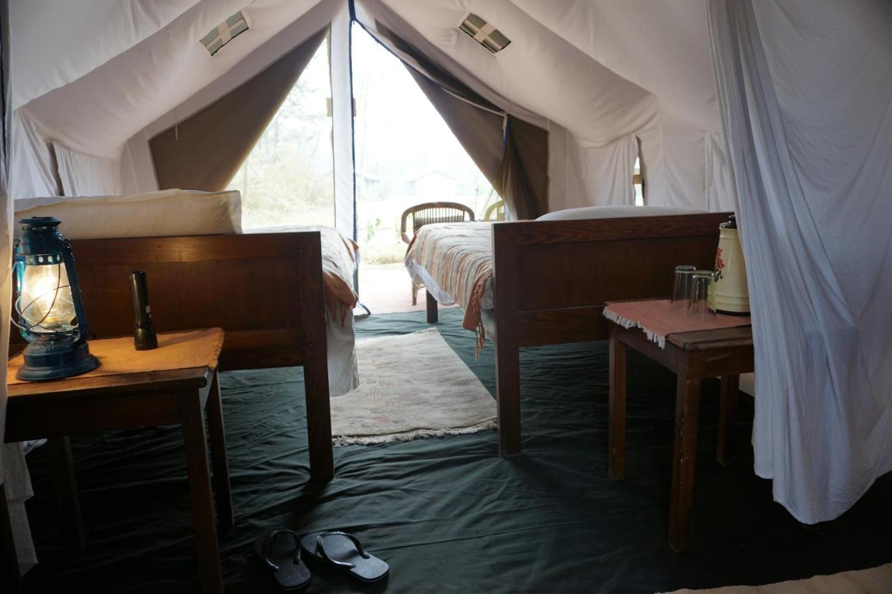 ไทเกอร์ ท็อป ฐารุ ลอดจ์ Hotel จิตวัน ภายนอก รูปภาพ